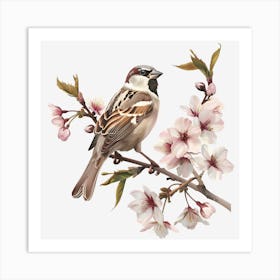 Sparrow In Cherry Blossoms Art Print