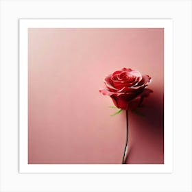 Single Rose On Pink Background Art Print