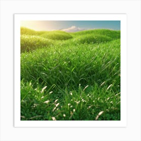 Grass Field 25 Art Print