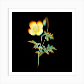 Prism Shift Welsh Poppy Meconopsis Cambrica Botanical Illustration on Black n.0009 Art Print