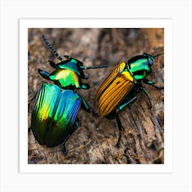 Beetle 32 Art Print