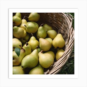 Pears In A Basket 3 Art Print