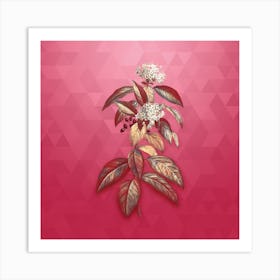 Vintage Laurustinus Botanical in Gold on Viva Magenta n.0302 Art Print