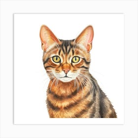 Toyger Cat Portrait 1 Art Print