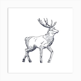 Deer Stag Illustration Art Print