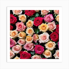 Roses On Black Background Art Print