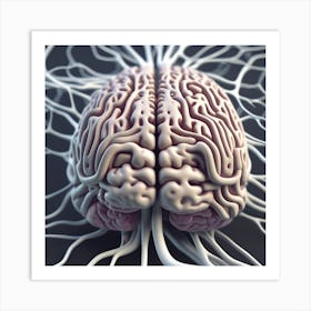 Brain With Nerves 3 Art Print