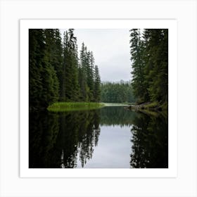 Reflection In A Lake Art Print