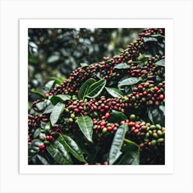 Coffee Beans On A Tree 21 Art Print