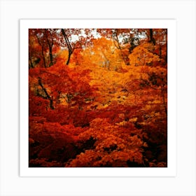 Firefly Autumn Leaves In Blaze Fiery Reds, Oranges, And Yellows Of Fall Foliage 2 Art Print