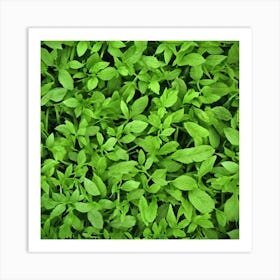 Background Of Green Leaves Art Print