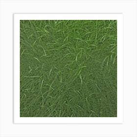 Grass Background Photo 2 Art Print