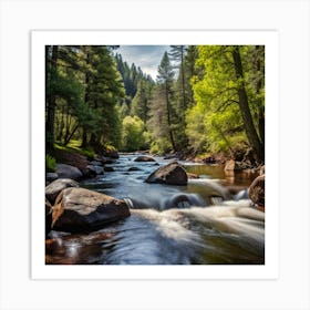 River In The Forest Art Print