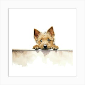 Yorkshire Terrier 21 Art Print