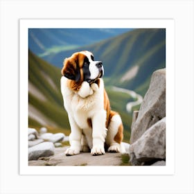 St Bernard Dog 55 Art Print