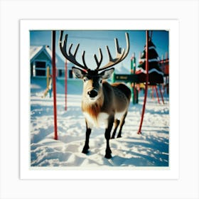 Reindeer Art Print
