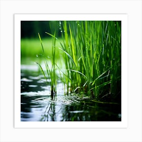 Grass Plant Reed Green Background Nature Closeup Garden Flora Growth Leaf Summer Spring (2) Art Print