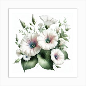 Flower of Convolves 1 Art Print