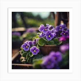 Purple Violas Art Print