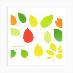 Autumn Leaves Art Print