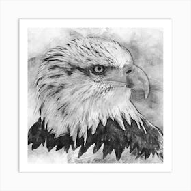 Bald Eagle Portrait By Person Art Print