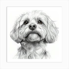 Cockapoo 1 Art Print