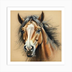 Horse Portrait 8 Art Print