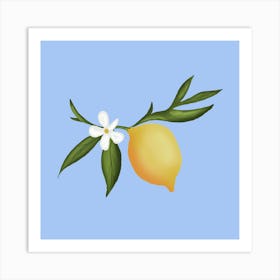 Lemon fruit and flowers Art Print