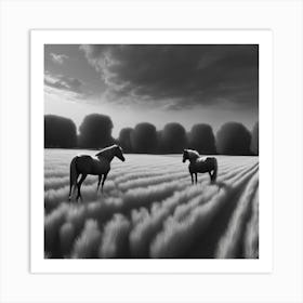 Horses In A Field 15 Art Print