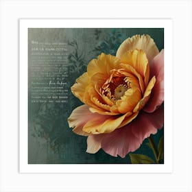 Peony 3 Art Print