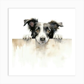 Border Collie 8 Art Print