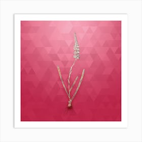 Vintage Ixia Cepacea Botanical in Gold on Viva Magenta n.0547 Art Print