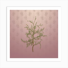 Vintage Sictus Tree Botanical on Dusty Pink Pattern n.1648 Art Print