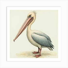 Pelican Watercolor Póster