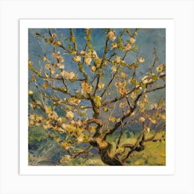 Blossoming Almond Tree 8 Art Print