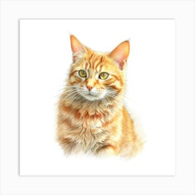 Mandarin Cat Portrait 1 Art Print