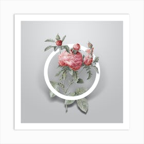 Vintage Cabbage Rose Minimalist Botanical Geometric Circle on Soft Gray n.0405 Art Print