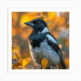 Rufous-Tailed Magpie 1 Art Print