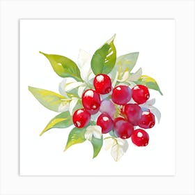 Cranberry Art Print