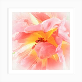 Pink Tulip Macro Botanical Photography Art Print