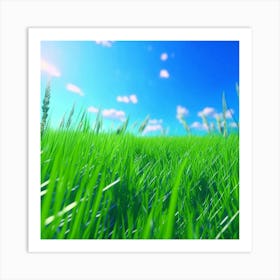 Grass Field With Blue Sky Art Print