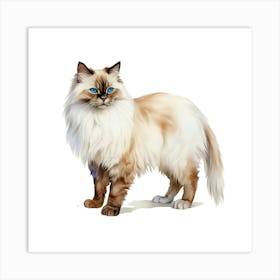 Longhaired Cat Art Print