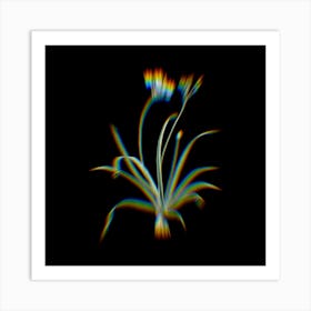 Prism Shift Allium Fragrans Botanical Illustration on Black n.0168 Art Print