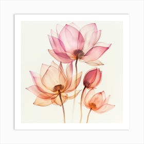 Lotus3 Art Print