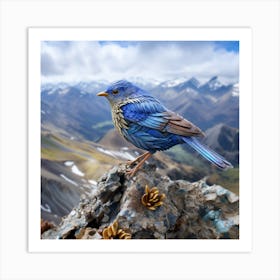 Bluebird Art Print