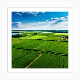 Grass Peace Air Structure Pasture Soy Bean High Country Rural Green Farm Overhead Natur (11) Art Print