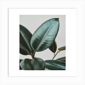 Green Leaf Print Art Print