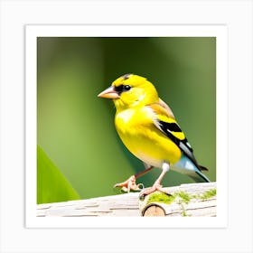 Goldfinch 17 Art Print