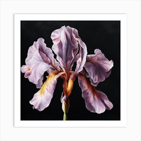 BLue Iris Art Print