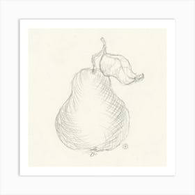 Pear - sketch drawing minimal detailed figorative classical ivory paper pencil graphite square hand drawn Art Print